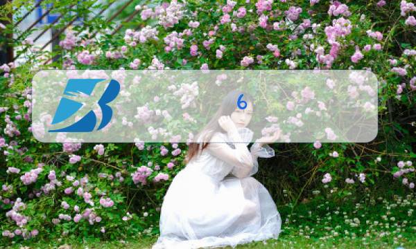 6 0.76 6钢化夹胶玻璃的价格图片